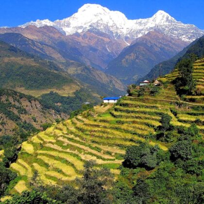 Langtang Valley 07 Days Treks