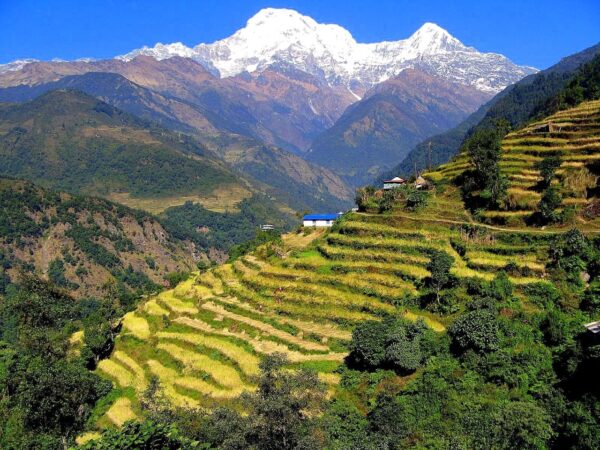 Annapurna Circuit (Manang) 07 days Trek - Image 2